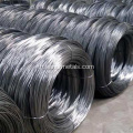 ลวดเหล็กดำ galv iron wire